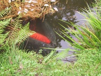104_0480_IMG.jpg