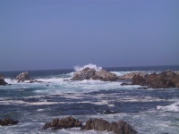105_0541_IMG.jpg