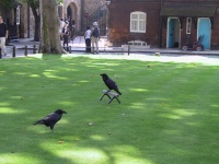 IMG_0074.jpg
