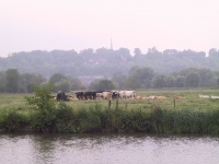 IMG_0133.jpg