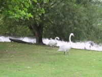 IMG_0134.jpg