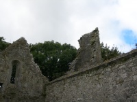DSCN0541.JPG