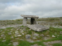DSCN0558.JPG