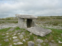 DSCN0559.JPG
