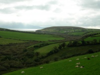 DSCN0321.JPG