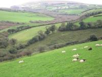 DSCN0324.JPG