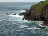 DSCN0338.JPG