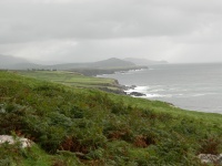 DSCN0362.JPG