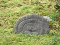 DSCN0384.JPG