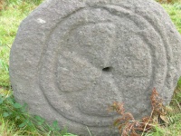 DSCN0386.JPG