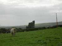 DSCN0395.JPG