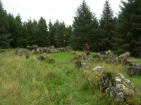 DSCN0699.JPG