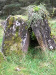 DSCN0700.JPG