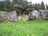 DSCN0702.JPG