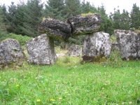 DSCN0703.JPG