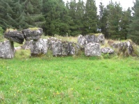 DSCN0706.JPG