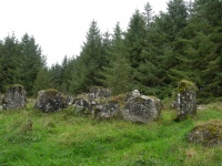 DSCN0707.JPG