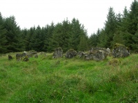 DSCN0708.JPG