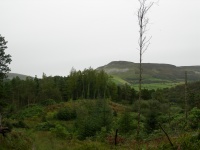 DSCN0711.JPG