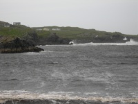 DSCN0728.JPG
