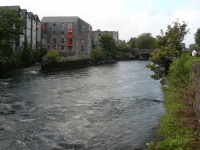 DSCN0597.JPG