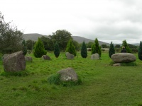 DSCN0441.JPG