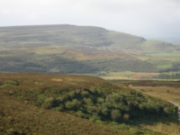 DSCN0644.JPG
