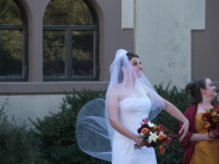 swirly_veil.jpg