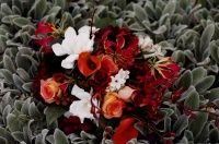 Flowers.jpg