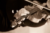 Violin.jpg
