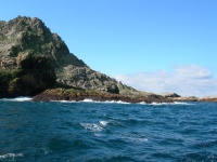 DSCN0831.JPG