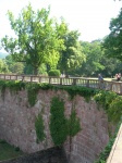 DSCN1541.JPG