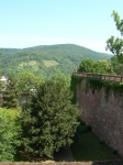 DSCN1542.JPG