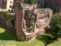 DSCN1556.JPG