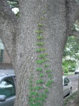 DSCN2278.JPG
