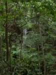 DSCN3491_JPG.JPG