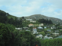 IMG_1622.jpg