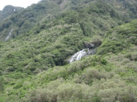 IMG_2006.jpg
