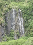 IMG_2035.jpg