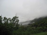 IMG_2096.jpg