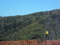 IMG_1557.jpg