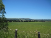 IMG_1562.jpg