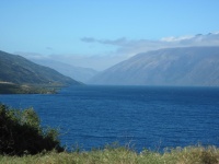 IMG_1694.jpg