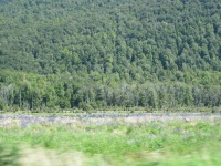 IMG_1705.jpg