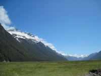 IMG_1710.jpg