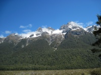 IMG_1714.jpg