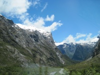IMG_1737.jpg