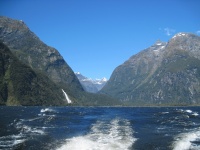 IMG_1771.jpg