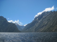 IMG_1773.jpg