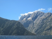 IMG_1784.jpg